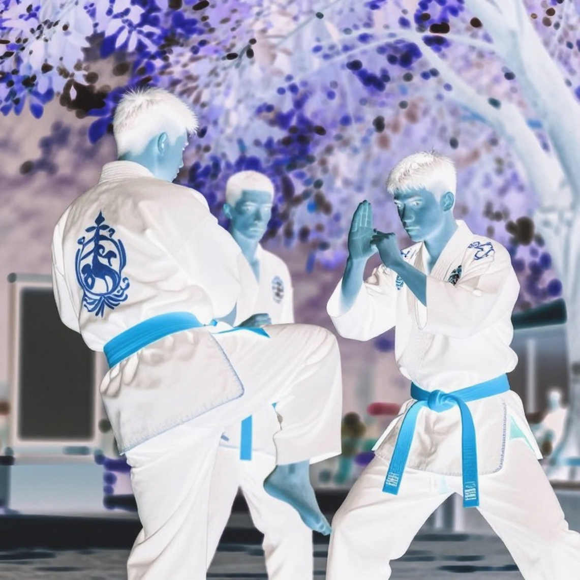 Tấm tatami cuộn lại ở Budokan: Karate, Olympic và bảy năm biết trước ngày chia tay