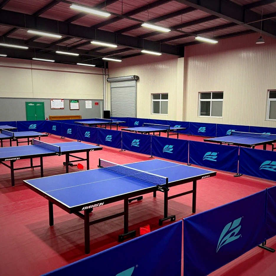 Nine Analytical Dimensions, Not a Single Line of Data: A Scouting Lesson from an Empty Table Tennis Dossier Nine Analytical Dimensions, Not a Single Line of Data: A Scouting Lesson from an Empty Table Tennis Dossier