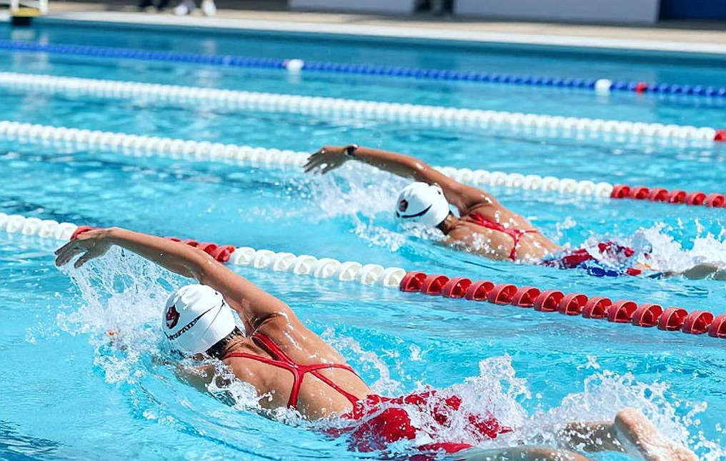 Chín ô trống trên đường bơi: dữ liệu bơi lội Việt Nam mất gì sau mỗi kỳ SEA Games Chín ô trống trên đường bơi: dữ liệu bơi lội Việt Nam mất gì sau mỗi kỳ SEA Games